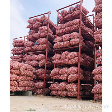 Volume delle esportazioni di aglio cinese